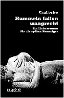 Hummeln fallen waagerecht - Ein Liebesroman für die späten Neunziger